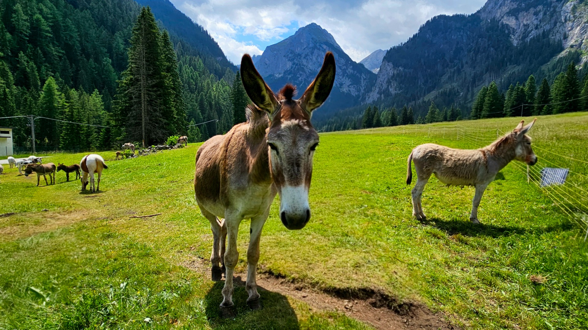 Dolomity, Marmolada