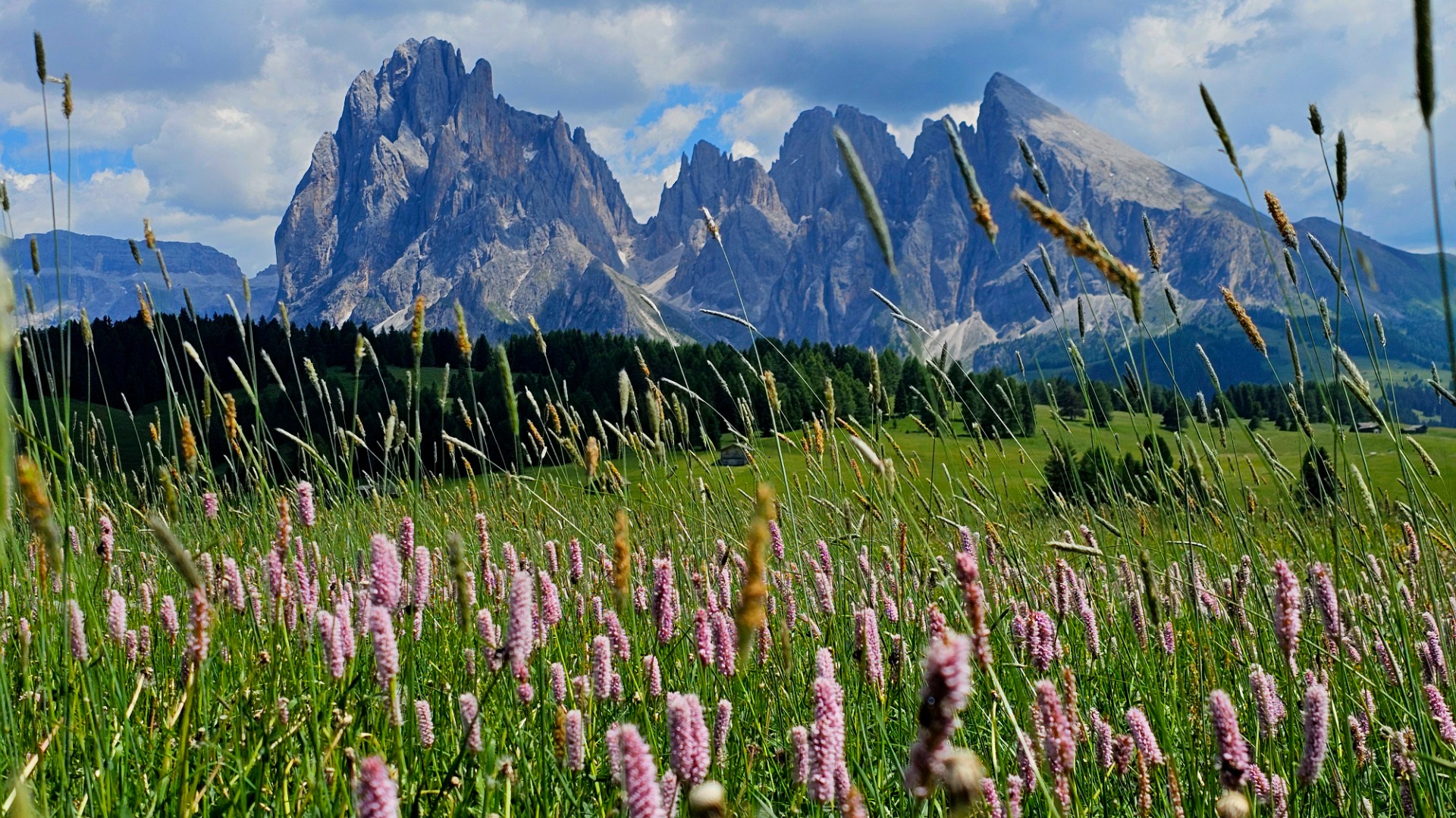 Dolomity, Alpe di Siusi