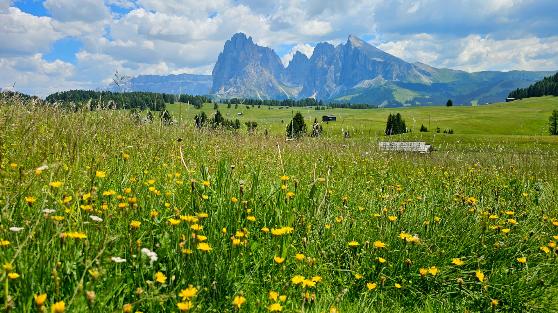 Dolomity, Alpe di Siusi