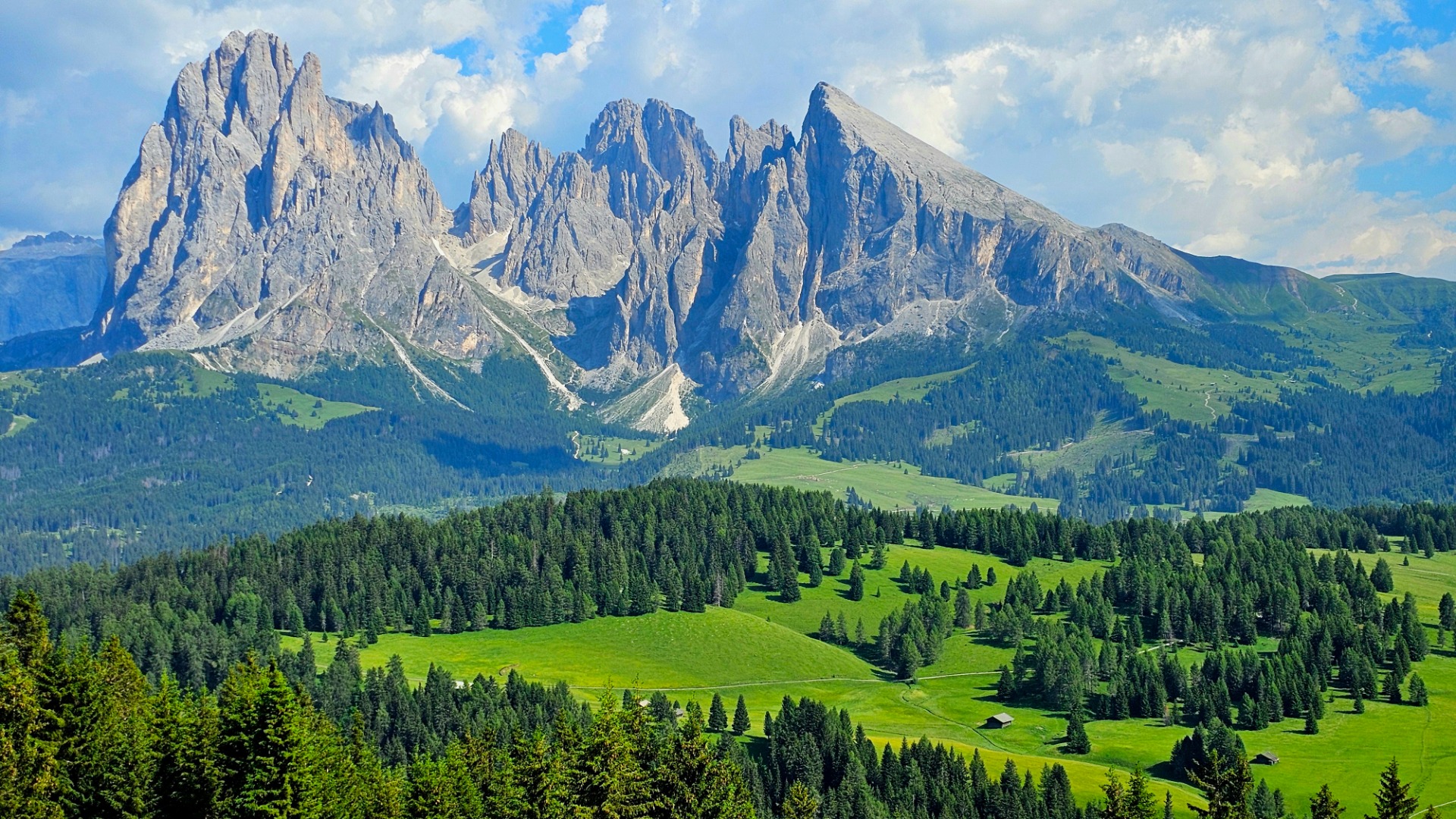 Dolomity, Alpe di Siusi s horou Sassolungo